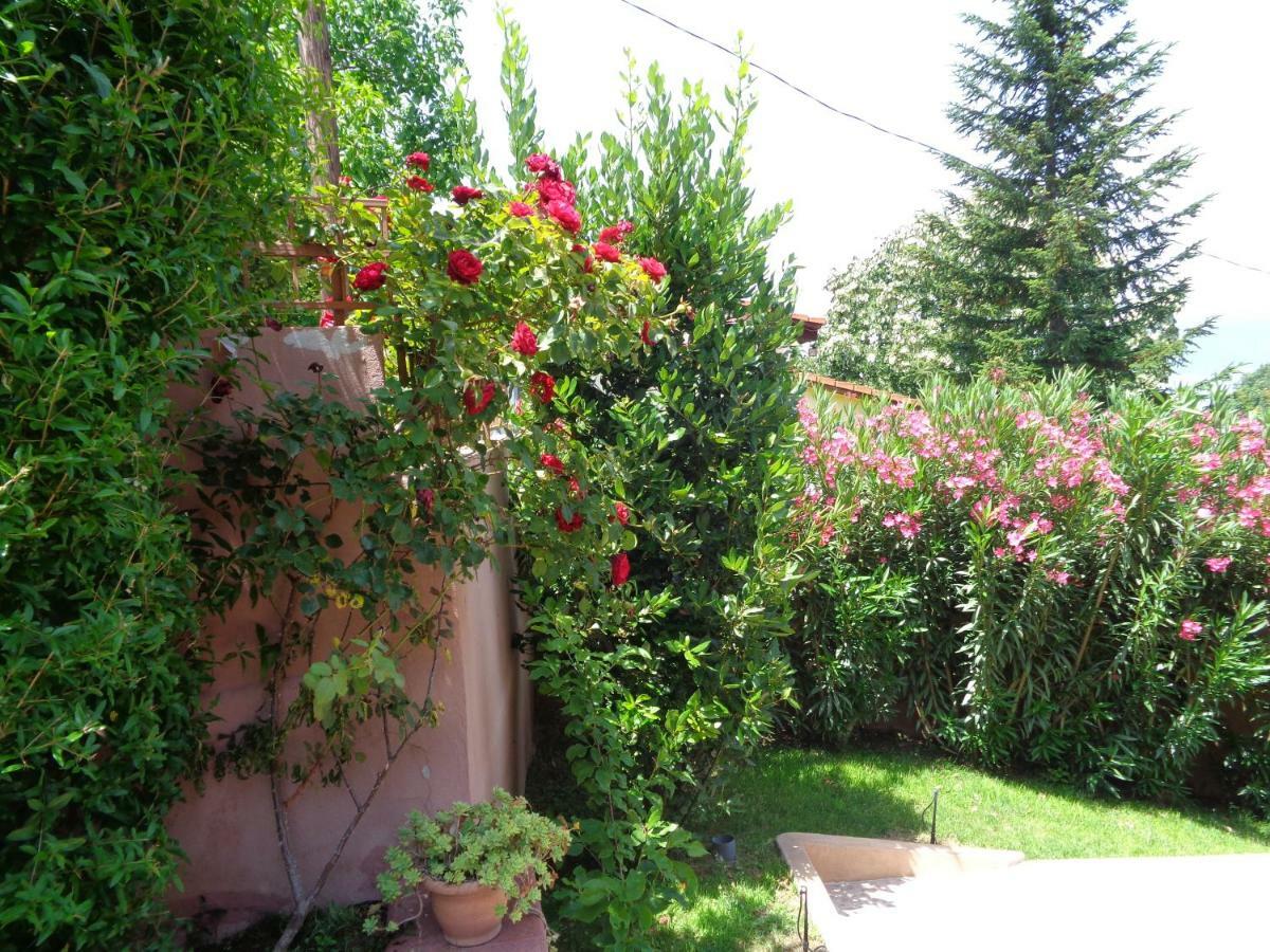 Apartment Golf Dojran Dış mekan fotoğraf